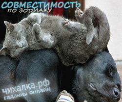 Гороскоп совместимости знаков зодиака